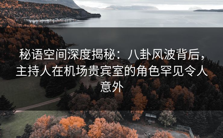 秘语空间深度揭秘：八卦风波背后，主持人在机场贵宾室的角色罕见令人意外