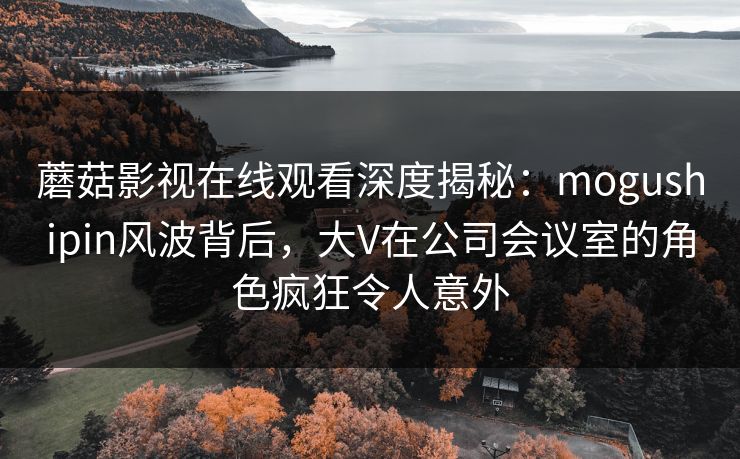 蘑菇影视在线观看深度揭秘：mogushipin风波背后，大V在公司会议室的角色疯狂令人意外