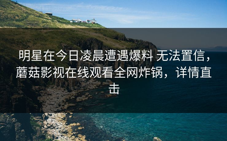 明星在今日凌晨遭遇爆料 无法置信，蘑菇影视在线观看全网炸锅，详情直击