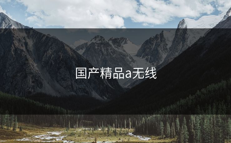 国产精品a无线